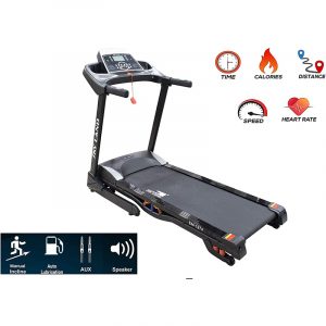 skyland treadmill