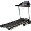 skyland treadmill online