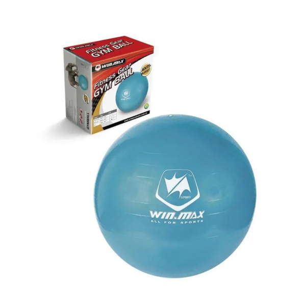 Winmax BUDS Gym Ball Blue